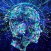 02. Psychoanalyses